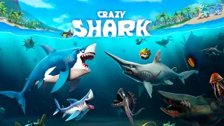 Crazy Shark