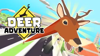 Deer Adventure