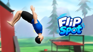Play Flip Spot now!