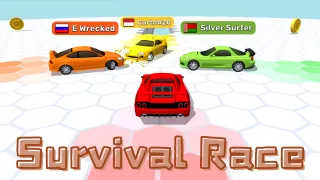 Survival Race