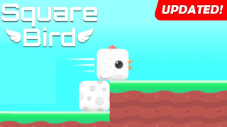 Play Square Bird now!